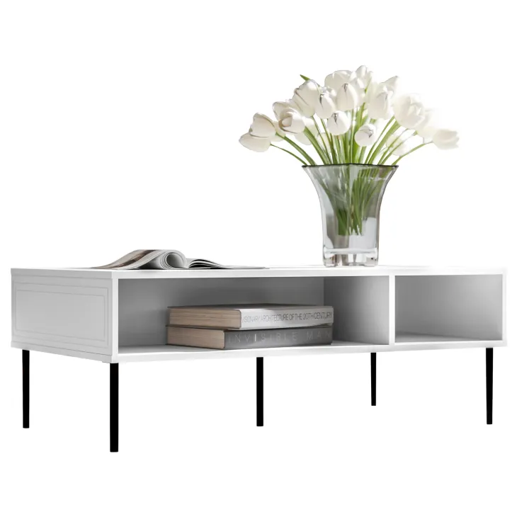 Tavolino da salotto 110x60cm 2 vani bianco opaco Stark